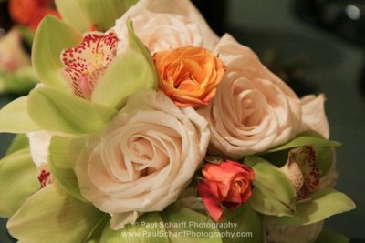 Wedding Sampler 174.JPG