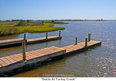 017  Docks At Turkey Creek.jpg