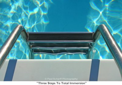 031  Three Steps To Total Immersion.jpg