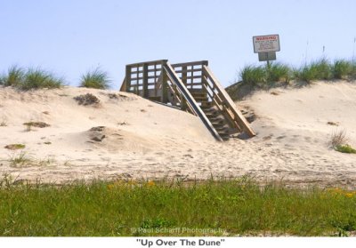 041  Up Over The Dune.jpg