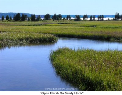 007  Open Marsh On Sandy Hook.jpg