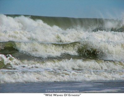 081  Wild Waves Of Ernesto.jpg