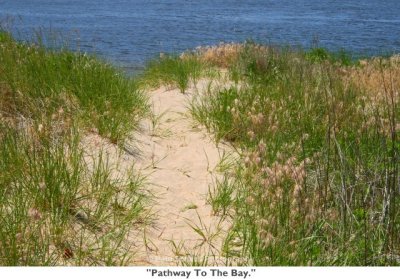 119  Pathway To The Bay..jpg