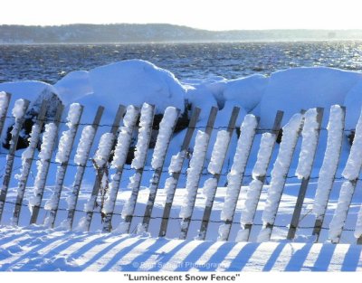 128  Luminescent Snow Fence.jpg