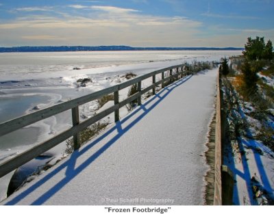 129  Frozen Footbridge.jpg
