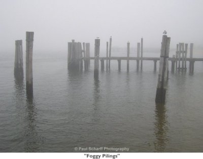 002  Foggy Pilings.jpg