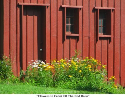 153  Flowers In Front Of The Red Barn.jpg