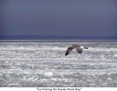 179  Ice Fishing On Sandy Hook Bay.jpg