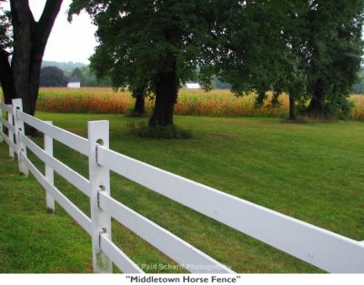 212  Middletown Horse Fence.jpg