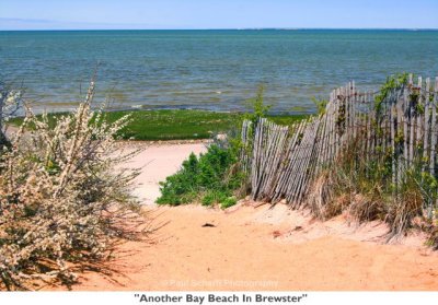 018  Another Bay Beach In Brewster.jpg