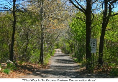 022  This Way In To Crowes Pasture Conservation Area.jpg