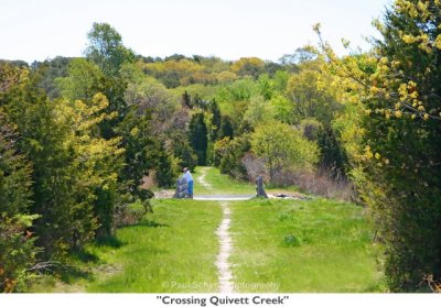 050  Crossing Quivett Creek.jpg