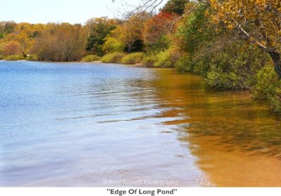 052  Edge Of Long Pond.jpg