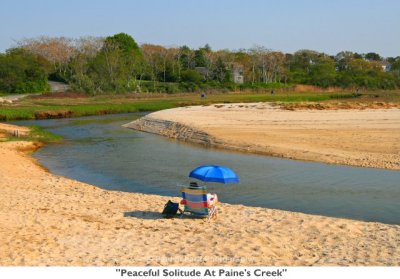 081  Peaceful Solitude At Paine's Creek.jpg