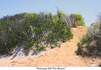 083  Pathway Off The Beach.jpg