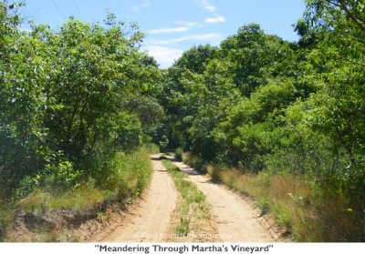 007  Meandering Through Martha's Vineyard.jpg