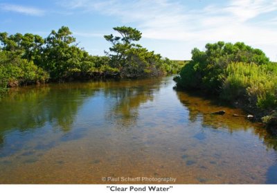 019  Clear Pond Water.jpg