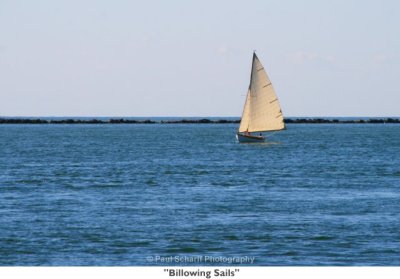 028  Billowing Sails.jpg