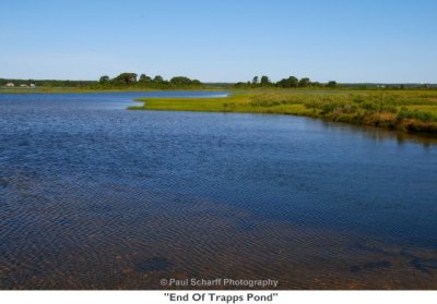 036  End Of Trapps Pond.jpg