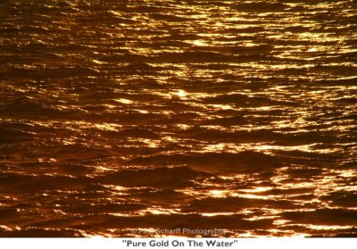 083  Pure Gold On The Water.jpg