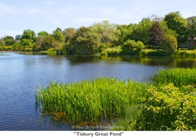 088  Tisbury Great Pond.jpg