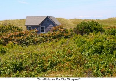 090  Small House On The Vineyard.jpg