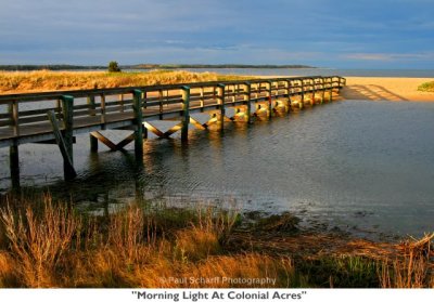 001  Morning Light At Colonial Acres.jpg