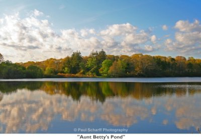 003  Aunt Betty's Pond.jpg