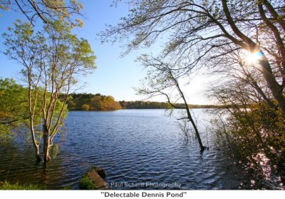 010  Delectable Dennis Pond.jpg