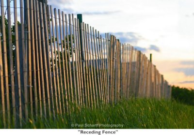 017  Receding Fence.jpg