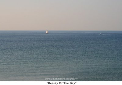 019  Beauty Of The Bay.jpg
