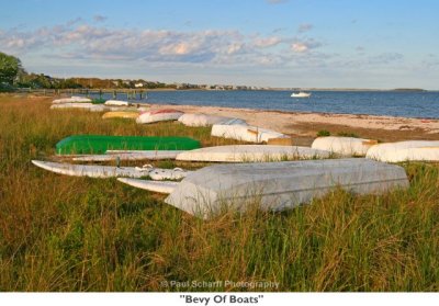 030  Bevy Of Boats.jpg