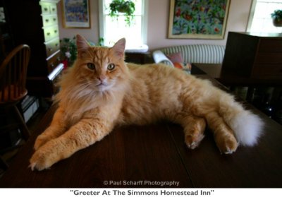 048  Greeter At The Simmons Homestead Inn.jpg