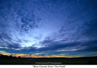 050  Blue Clouds Over The Field.jpg