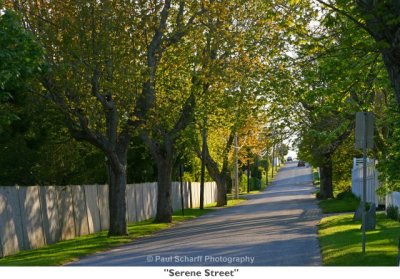 083  Serene Street.jpg