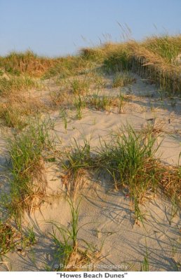 097  Howes Beach Dunes.jpg