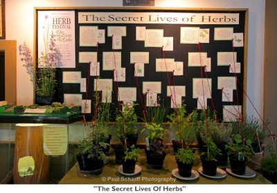 050  The Secret Lives Of Herbs.jpg