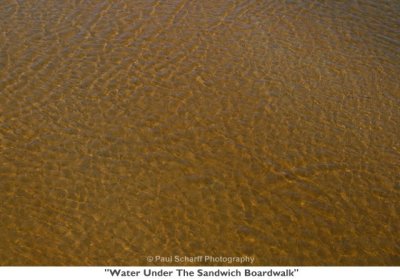 119  Water Under The Sandwich Boardwalk.jpg