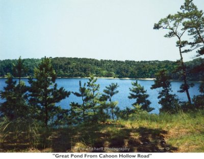 027  Great Pond From Cahoon Hollow Road.jpg