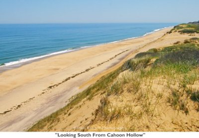 033  Looking South From Cahoon Hollow.jpg