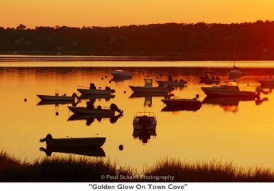 035  Golden Glow On Town Cove.jpg