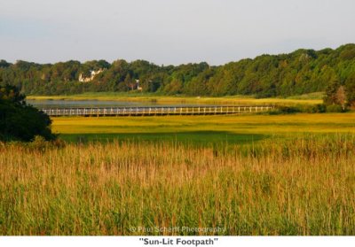 046  Sun-Lit Footpath.jpg