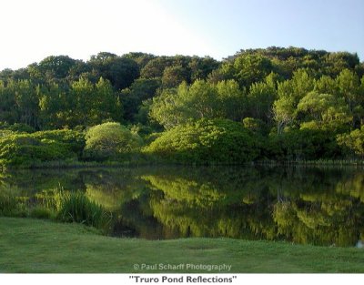 138  Truro Pond Reflections.jpg