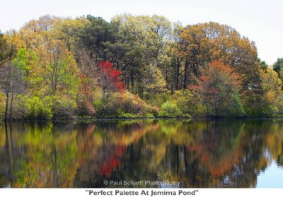 155  Perfect Palette At Jemima Pond.jpg