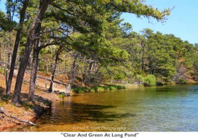 165  Clear And Green At Long Pond.jpg