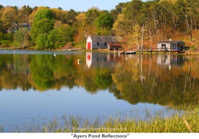 172  Ayers Pond Reflections.jpg