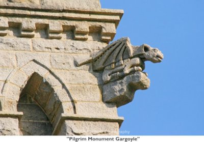 173  Pilgrim Monument Gargoyle.jpg