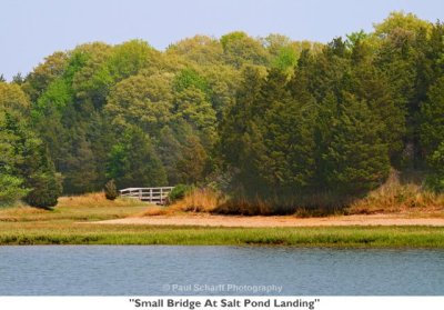 184  Small Bridge At Salt Pond Landing.jpg