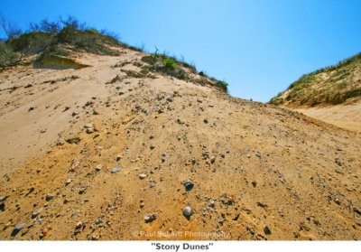 186  Stony Dunes.jpg