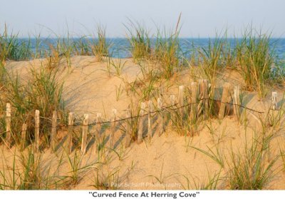 202  Curved Fence At Herring Cove.jpg